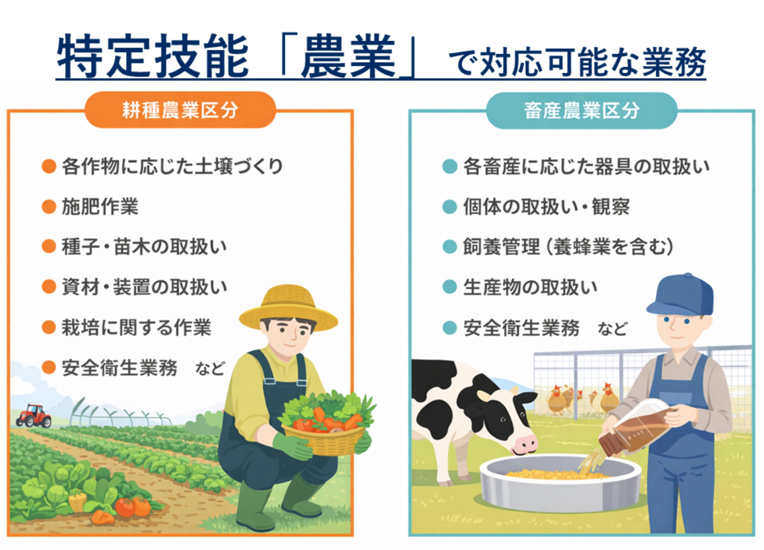特定技能「農業」で対応可能な業務の図解。耕種農業（施肥作業、種子・苗木の取り扱い、資材・装置の取り扱い、栽培に関する作業、安全衛生業務など）と、畜産農業（各畜産に応じた器具の取り扱い、個体の取り扱い・観察、飼養管理・養蜂、生産物の取り扱い、安全衛生業務など）に分けて解説。