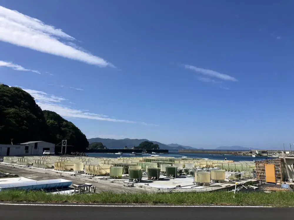 養殖海苔の加工品製造の仲間を募集【高知県】